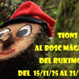 Tiones en el Bosque Mágico del Rukimon