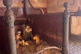 El Parc Samà es vesteix de Nadal!