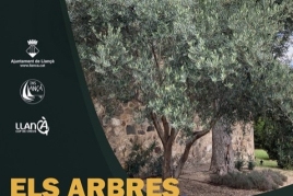 Els arbres de Llançà - Un museu a l'aire lliure
