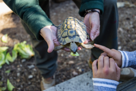 Visit the CRARC, Masquefa