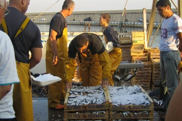 LEscala (Port Escala Anxoves)