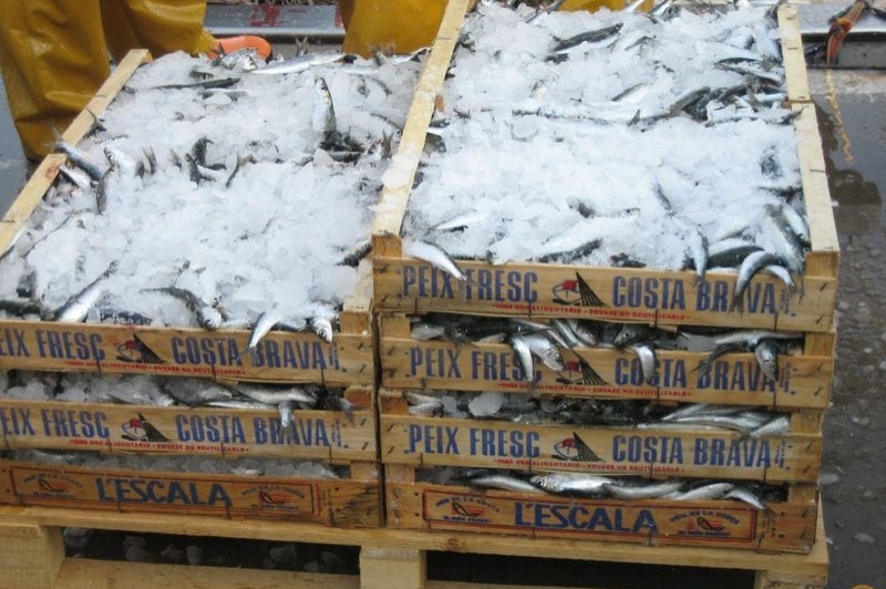 LEscala (Port Escala Pesca)