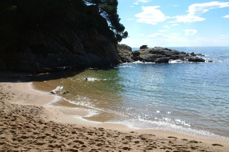 Castell - Platja dAro (Ala)