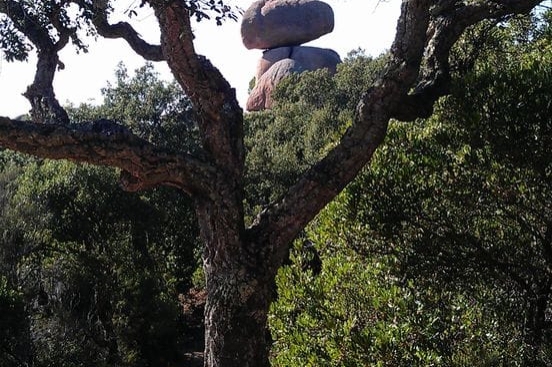 Sant Feliu de Guixols (Edra Basculant De Pedralta)