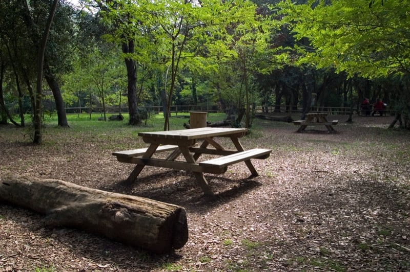 Tossa de Mar (5 Parc De Sa Riera)