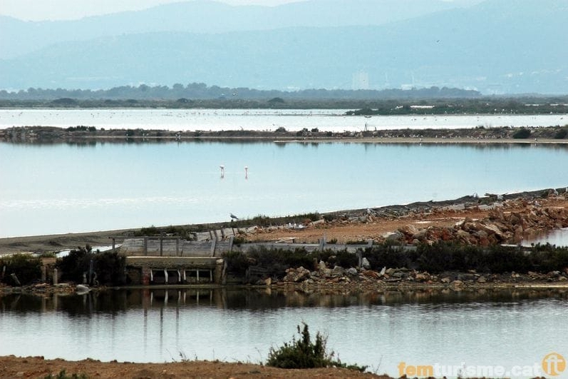 Sant Jaume dEnveja (Elta De Ebre)