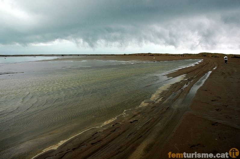 Sant Jaume dEnveja (Elta De L Ebre)
