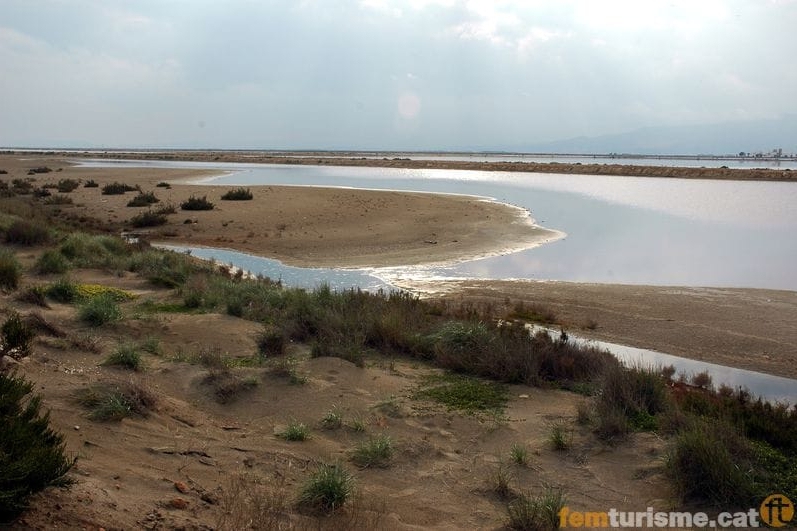 Sant Jaume dEnveja (Elta Ebre)