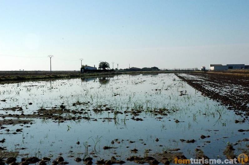 La Ràpita (Elta Ebre)