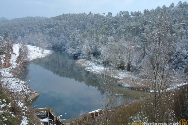 Puig-reig (Esclosa Llobregat Nevada)