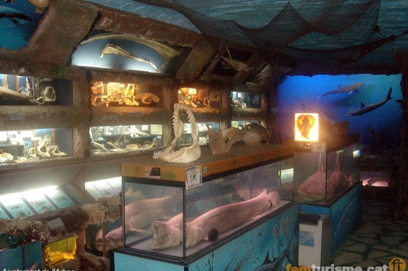 LArboç ( Museu El Cau Del Tauro)