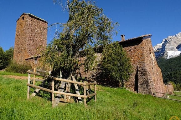 Cava ( Boix Del Santuari De Boscalt)