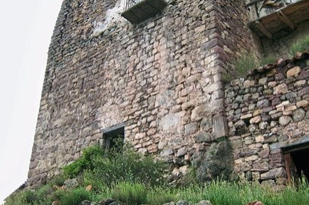 Cava ( Mas De Vinyoles)