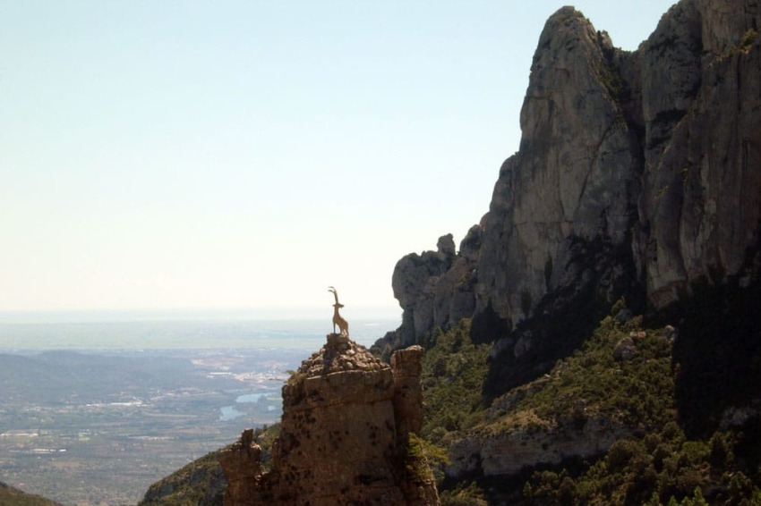 Roquetes ( Massis Mont Caro)