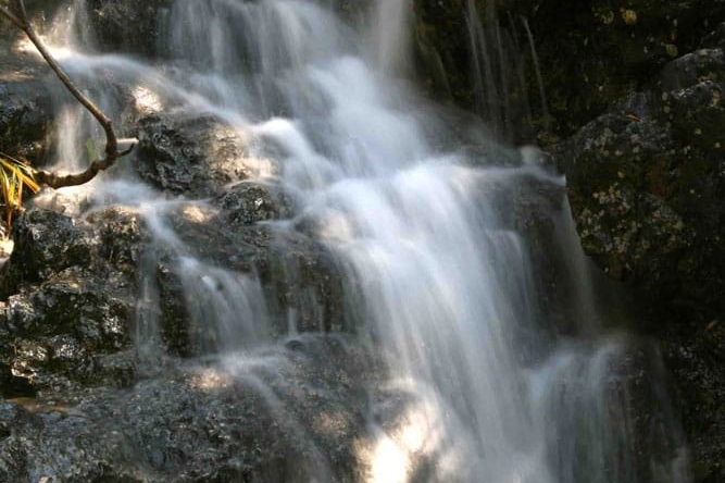 Roquetes ( Barrancs Parc Nacional Ports)
