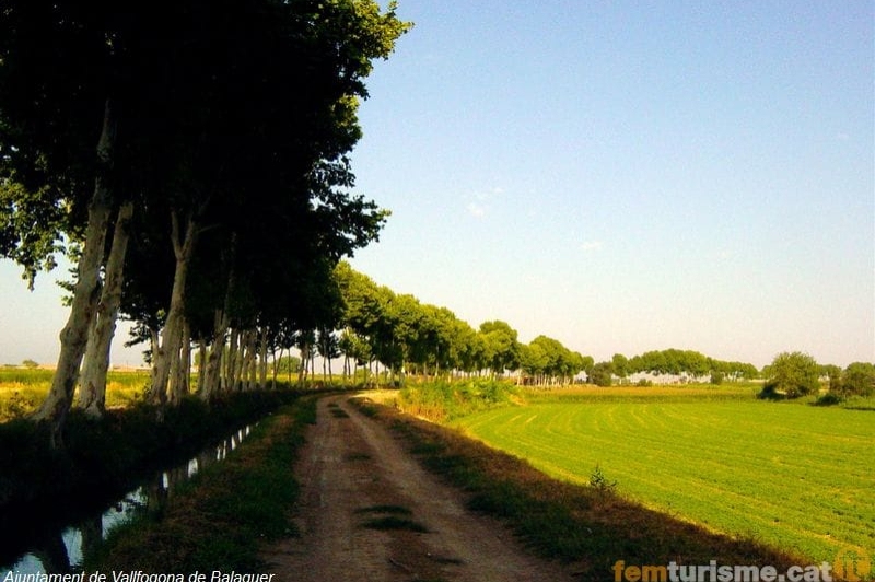 Vallfogona de Balaguer ( Cami)
