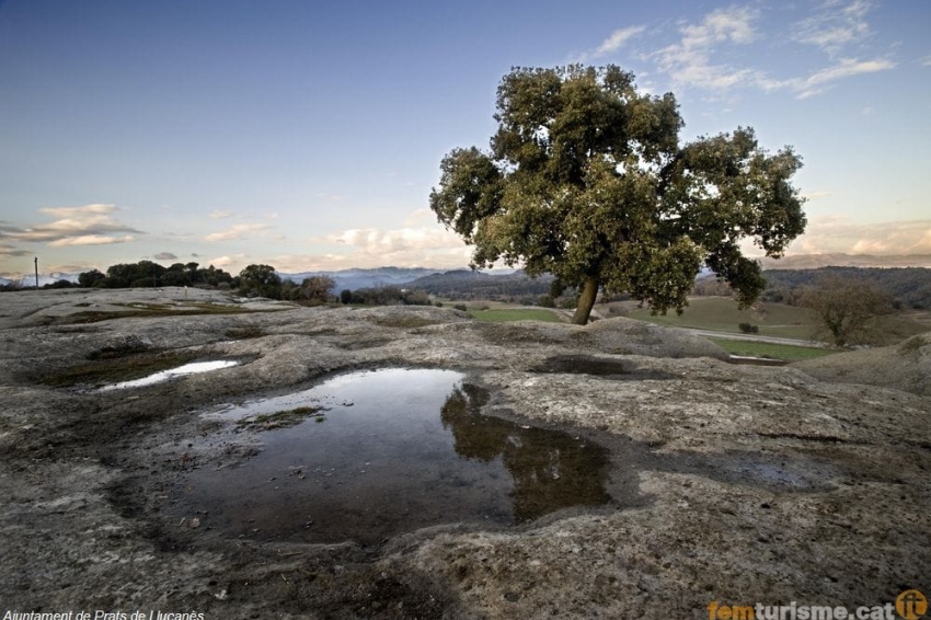 Prats de Lluçanès (0roques Damunt El Grau)