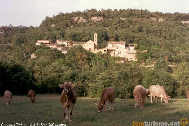 Tavèrnoles ( General)