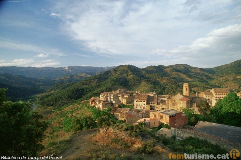 Torroja del Priorat ( General)
