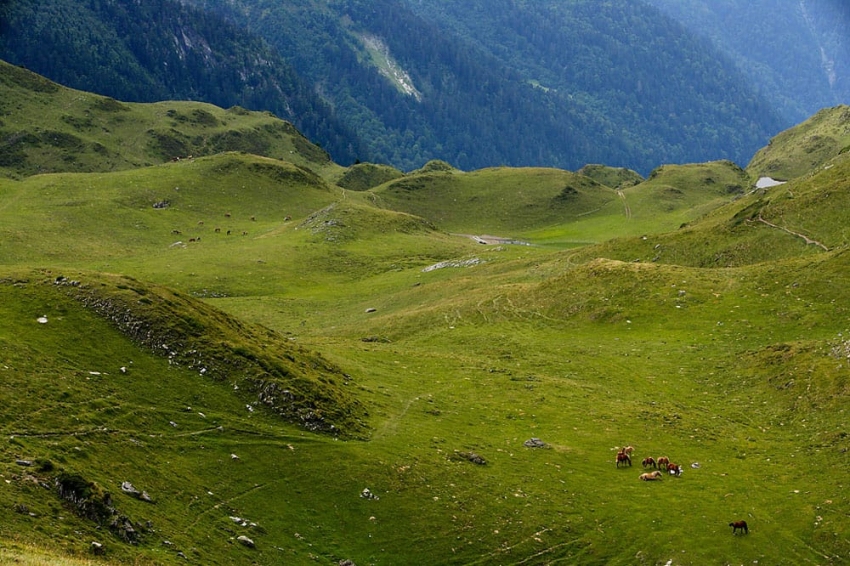 Vielha e Mijaran ( Shivaus Enes Pastures)