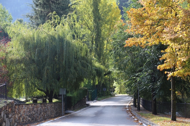 Bixessarri (Bixessarri)