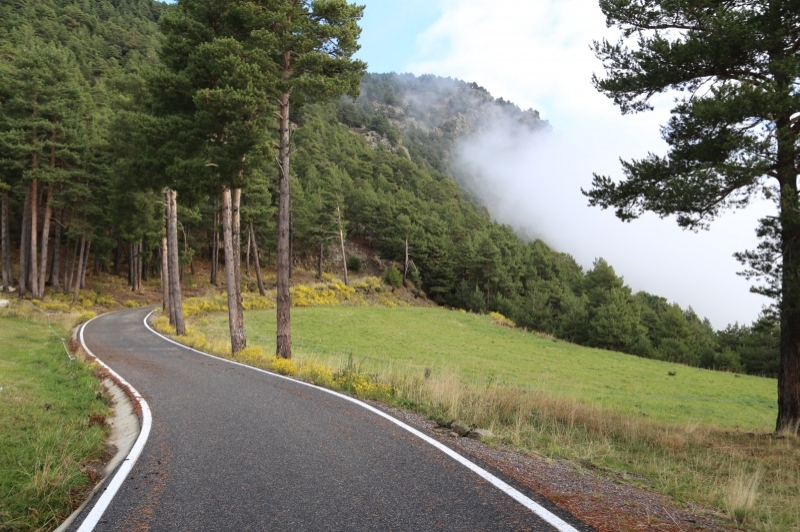 Fontaneda (Coll Gallina)