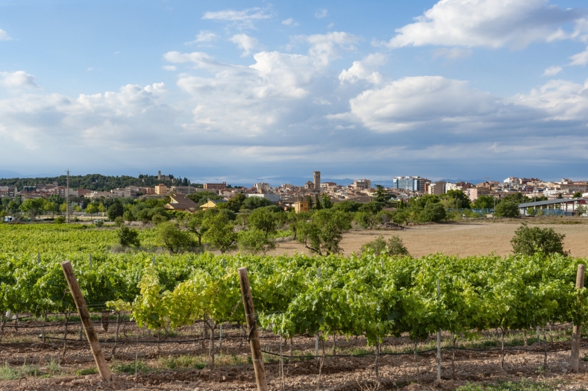 Tàrrega (Jaumesole General Tarrega)