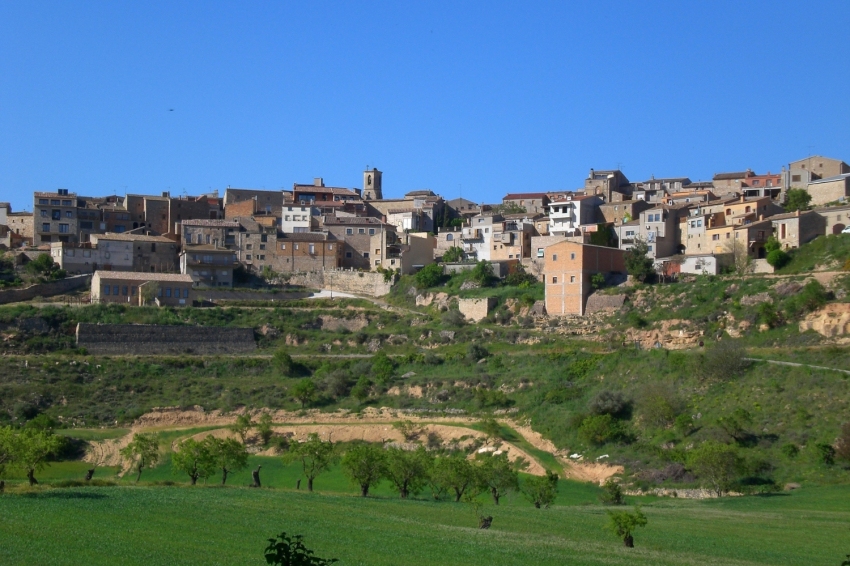Vallbona de les Monges (Rocallaura 1)