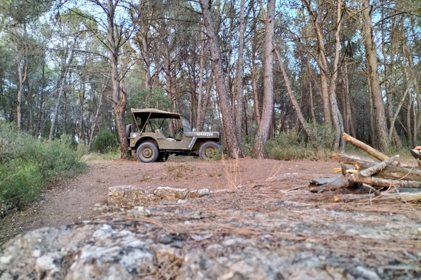 Vallbona de les Monges (Ruta L2)