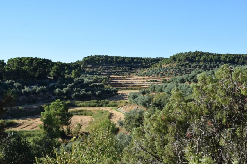 Vallbona de les Monges (Paisatge)