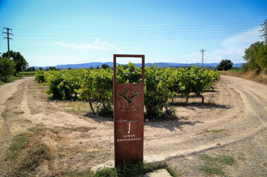 Vilafranca del Penedès (Cami Del Vi)