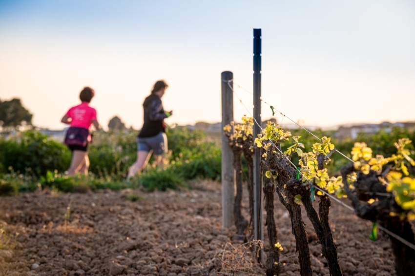 Vilafranca del Penedès (Primers Brots De Vinya)