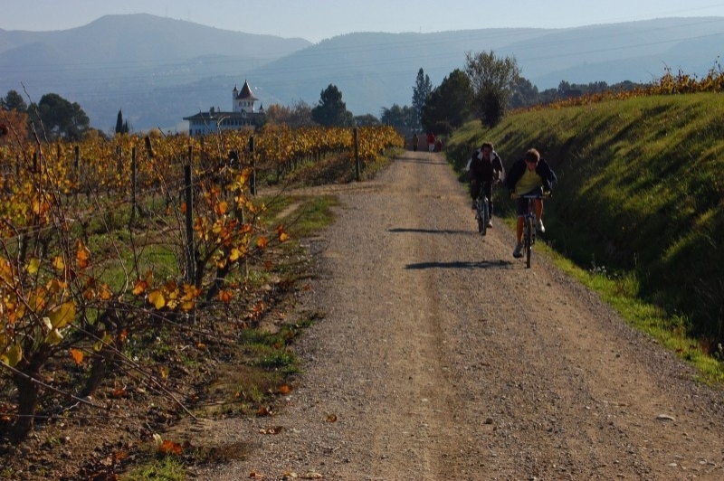 Sant Sadurní dAnoia (Vilarnau)