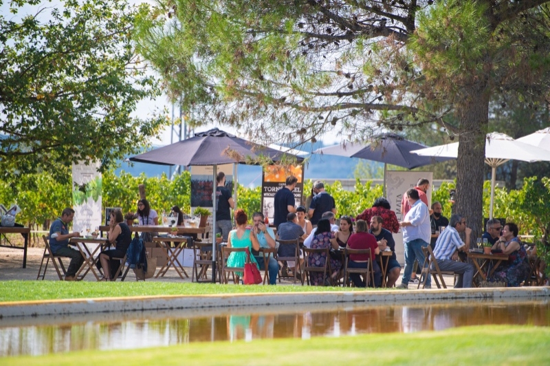 Sant Sadurní dAnoia (Cava Tast 02)