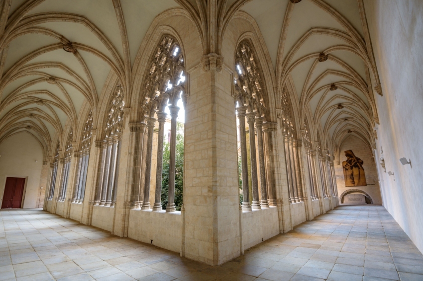 Vic (Catedral De Vic 5)