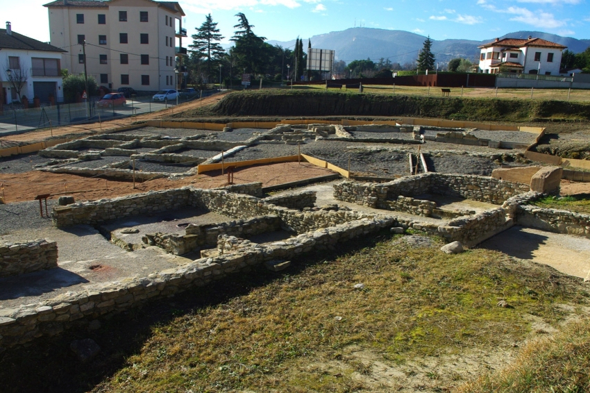 Tona (Jaciment Del Camp De Les Lloses)