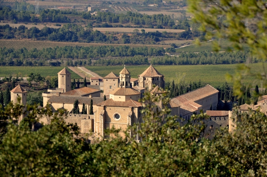 Vimbodí i Poblet (Monestir De Poblet)