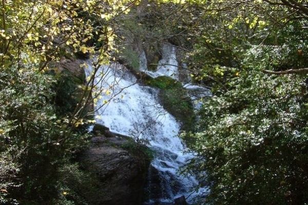 Berga (Fonts Llobregat Castellar De Nugh)