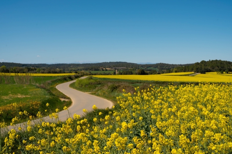 Cruïlles, Monells i Sant Sadurní de lHeura (Cruilles Monells St Sadurni Heura)
