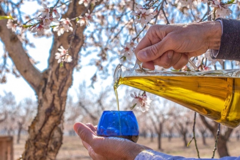 Arbeca (Oli Oliva Arbeca)