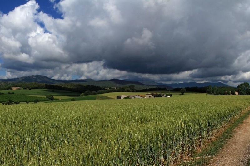 Riudarenes (Paissatge)