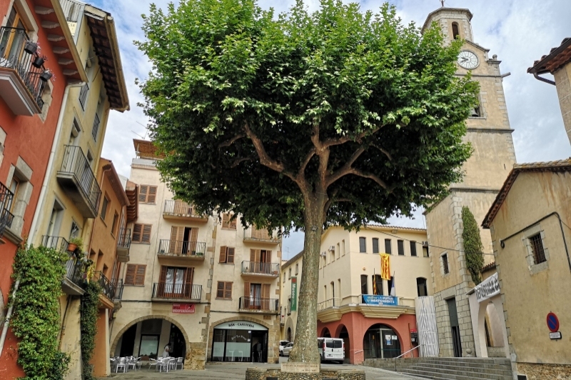 Arbúcies (Arbucies)