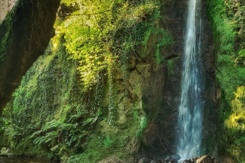 Arbúcies (Arbucies)