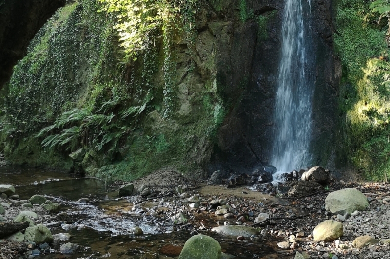 Arbúcies (Arbucies)