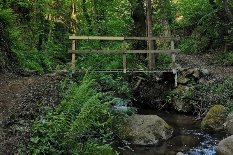 Arbúcies (Arbucies)