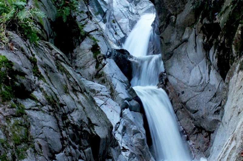 Arbúcies (Arbucies)