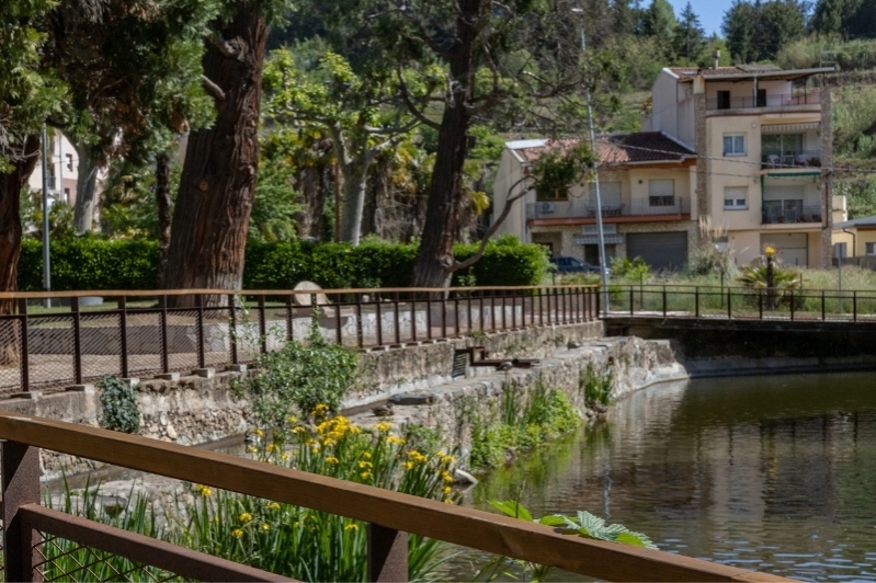 Arbúcies (Arbucies 1)