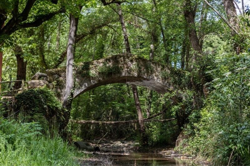 Arbúcies (Pont Moli Pipes)