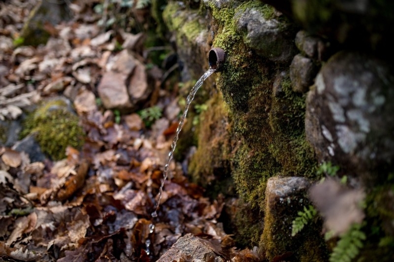 Sant Hilari Sacalm (Natura )