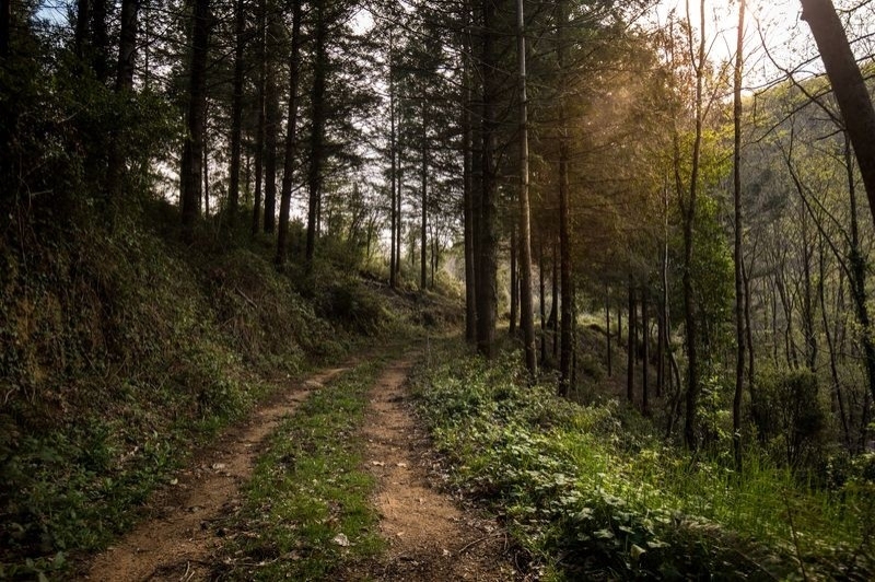 Sant Hilari Sacalm (Natura)